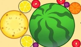 今日西瓜爆料,揭秘娱乐圈最新热点事件