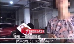 杨先生爆料电梯视频大全,电梯惊险瞬间，视频大全警示安全