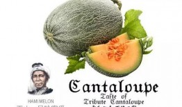 娱乐吃瓜风格是什么意思啊