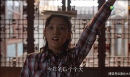 娱乐圈没吃的瓜