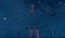 海洋最新爆料视频下载,最新海洋爆料视频深度解析