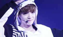 小鹿爆料小安哥视频大全,揭秘小安哥视频大全背后的精彩故事