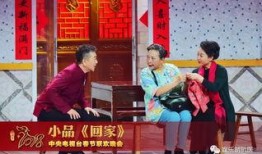 春晚总导演爆料视频播放,幕后故事与精彩瞬间大曝光