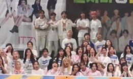 沈小婷队内爆料视频,幕后故事与团队情感