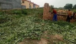 彩塘违建最新爆料