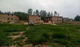 彩塘违建最新爆料