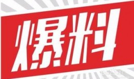 假料屋最新爆料,独家内幕大曝光！