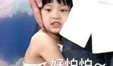 欧阳姐妹爆料事件真相视频,揭秘背后真相与内幕